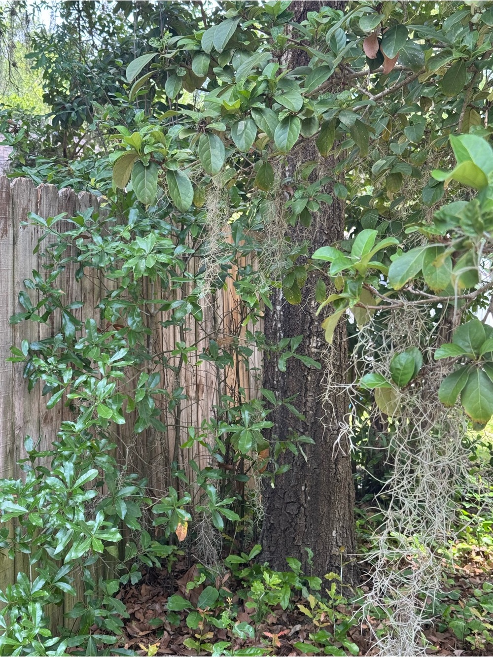 Today Beyond the Gate
